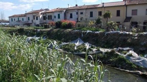 Ponte degli Armacani, uno dei tratti più a rischio degli argini della Brana (foto Gori)