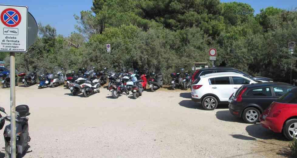 Sterpaia: nel parco pini caduti, degrado e auto nella polvere 
