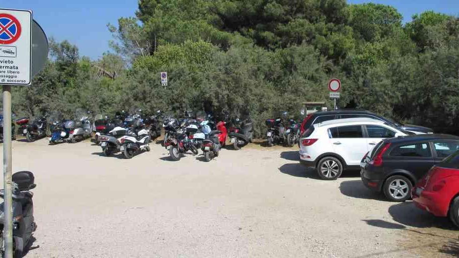 Sterpaia: nel parco pini caduti, degrado e auto nella polvere