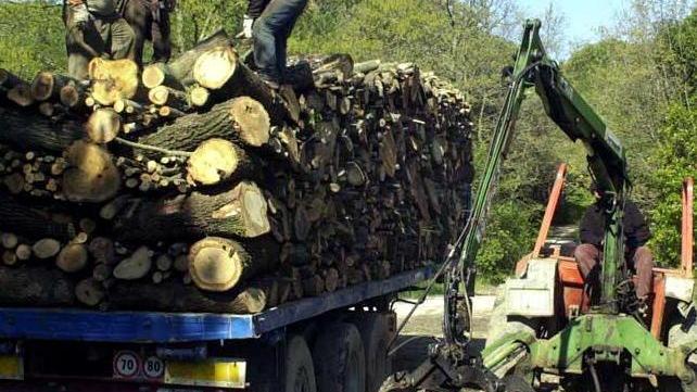 Forestali, giorno “x” per le paghe