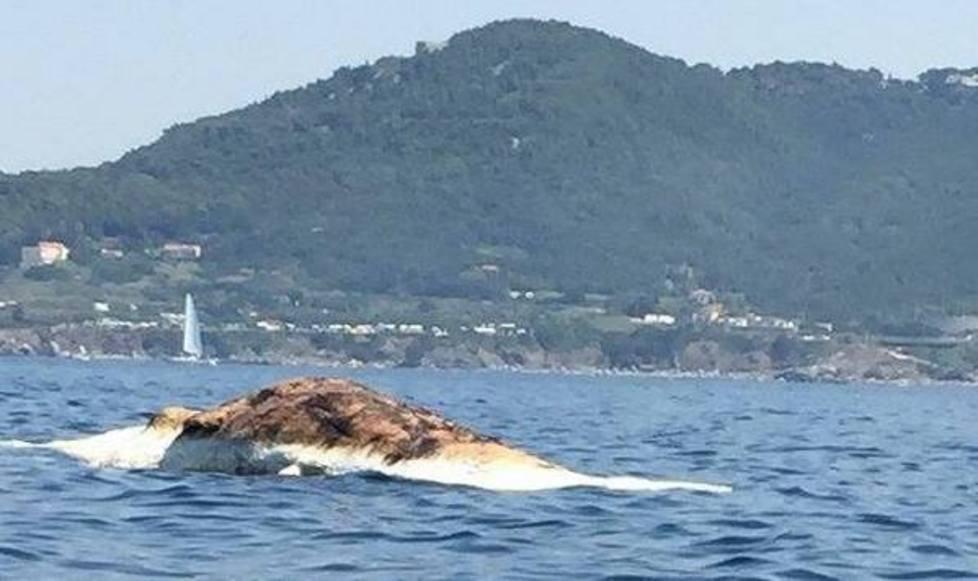 Mare nostrum promosso ma solo con la sufficienza