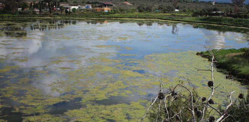 Calich, tutti scaricano nello stagno da salvare 