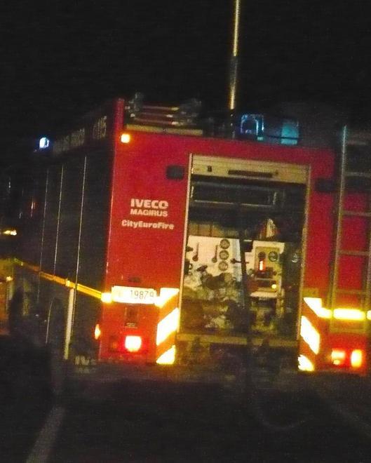 Auto fuori strada, alberi abbattuti 