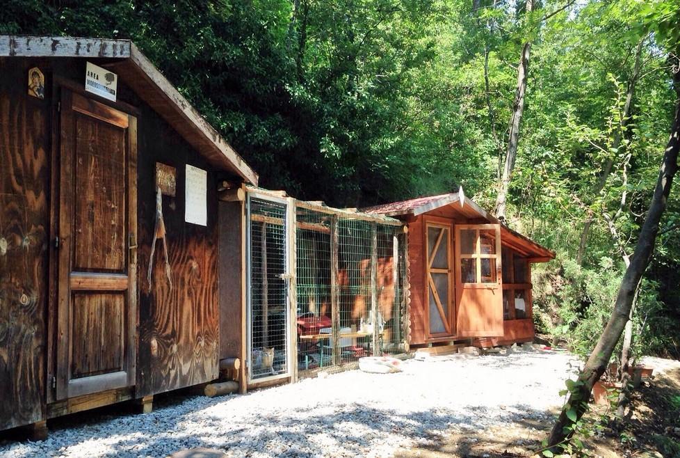 Venturelli porta in Consiglio la necessità di avere un gattile