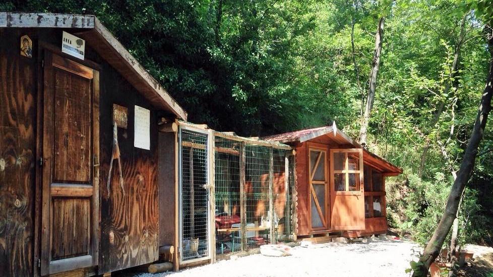 Venturelli porta in Consiglio la necessità di avere un gattile