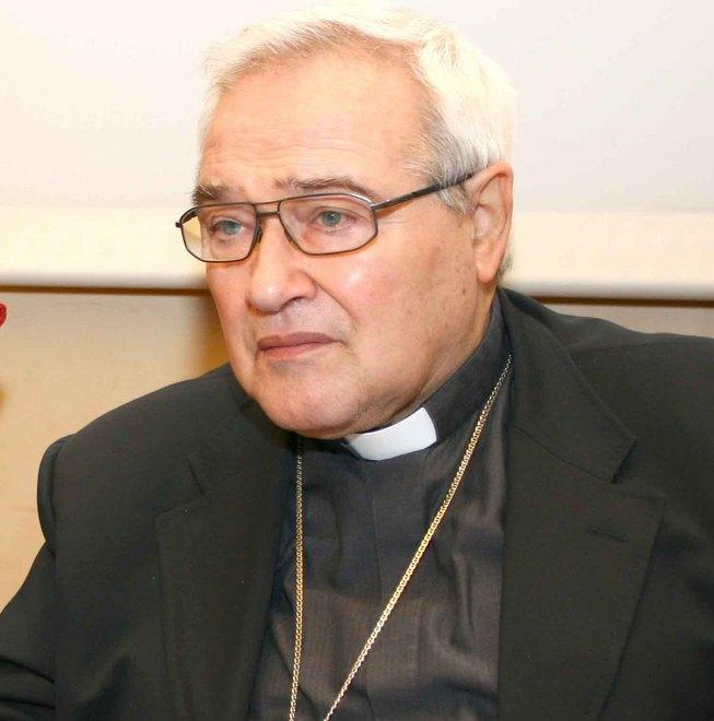 “Il cammino della Chiesa” nel nuovo libro del vescovo