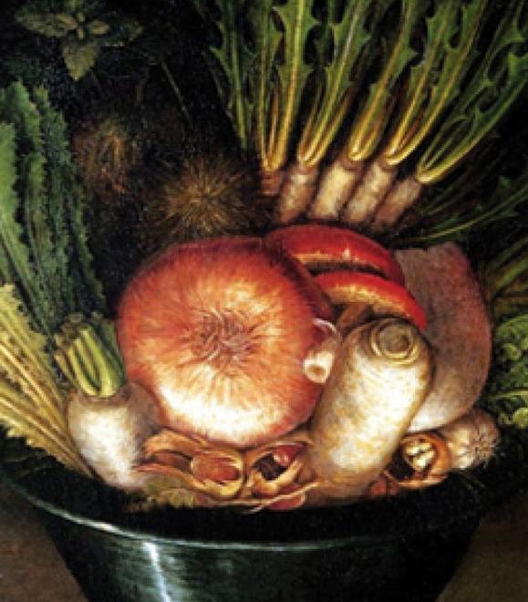 Due esposizioni a Palazzo Casotti dalle biodiversità alla storia 