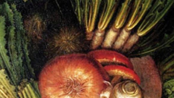 Due esposizioni a Palazzo Casotti dalle biodiversità alla storia