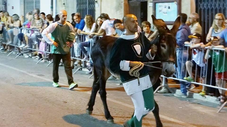 La somara vincitrice Olimpia con il barbaresco Draghi e poco dietro il fantino Bertini