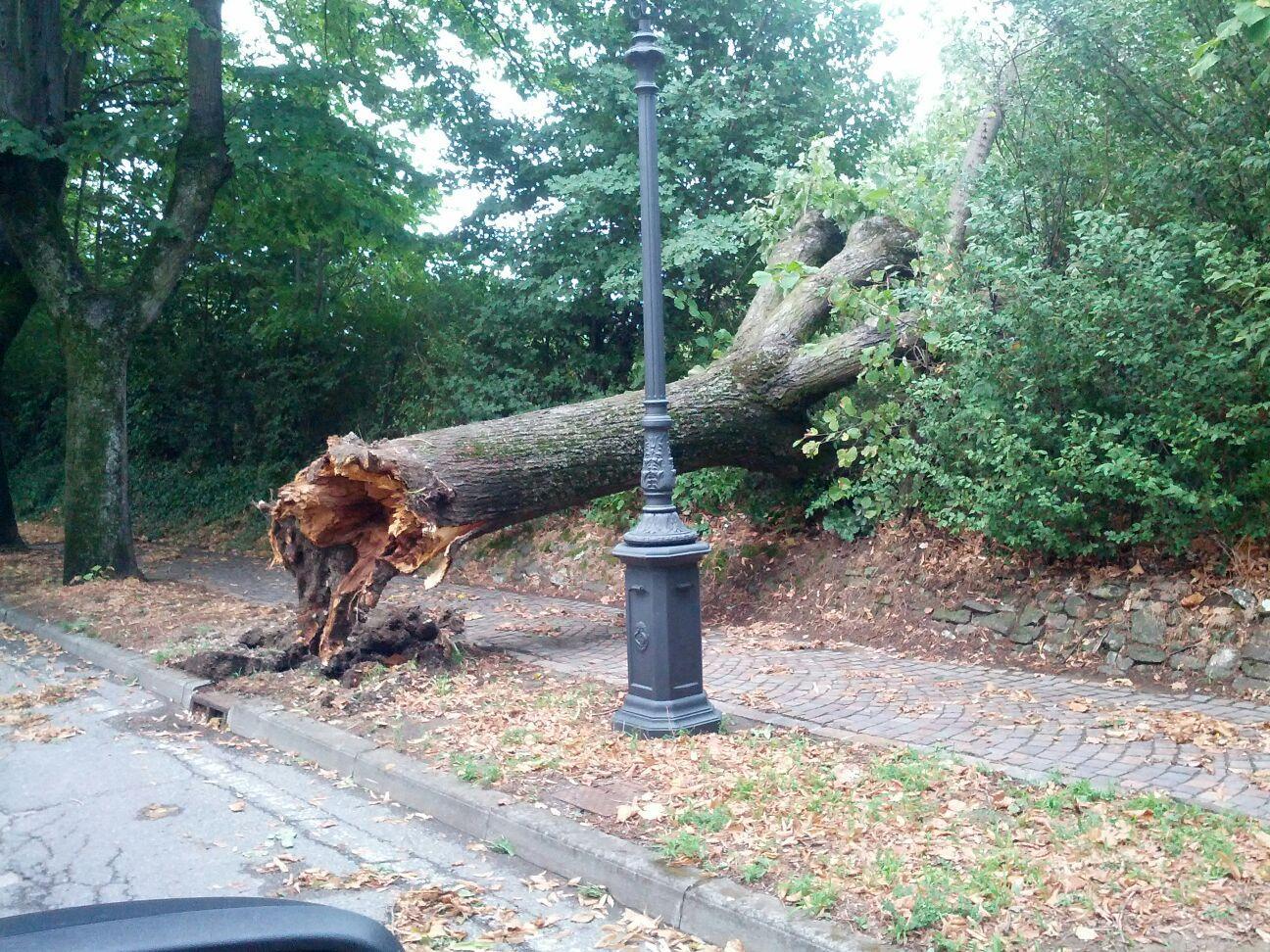 Il temporale di Ferragosto squassa Reggio Emilia
