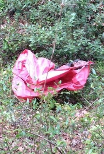 Lanterne cinesi nel bosco, multe fino a duemila euro