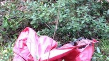 Lanterne cinesi nel bosco, multe fino a duemila euro