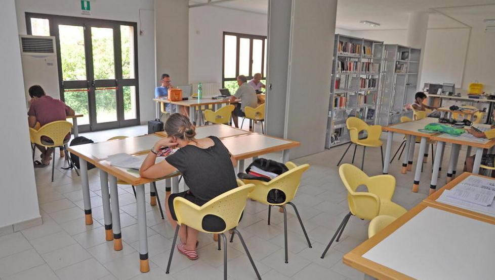 Umidità e muffe nei locali un pericolo per la salute 