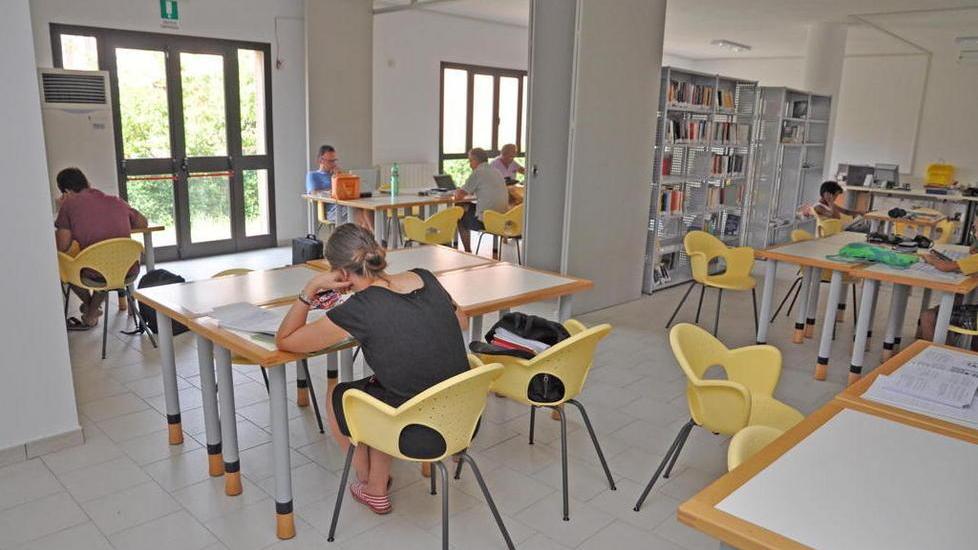 Umidità e muffe nei locali un pericolo per la salute