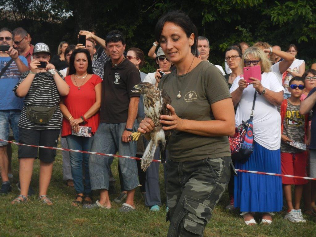 La liberazione dei rapaci a Zocca