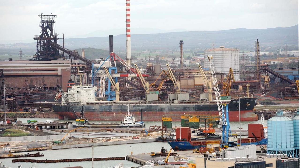 Il porto e lo stabilimento Aferpi (foto Paolo Barlettani)