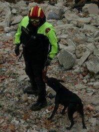 Cane sui binari, arrivano i pompieri 