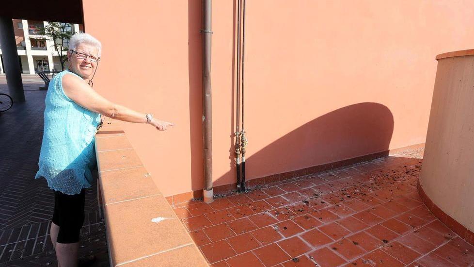 Troppi piccioni, parte la protesta
