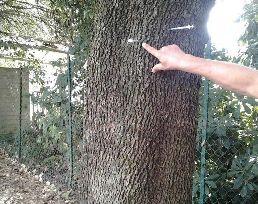 Siringhe insanguinate davanti alla scuola materna