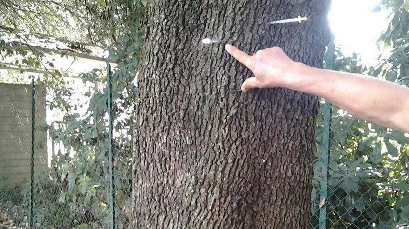 Siringhe insanguinate davanti alla scuola materna
