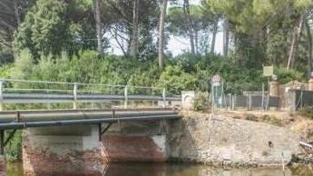 Laguna e polemiche Acque verdastre e turisti verdi di bile