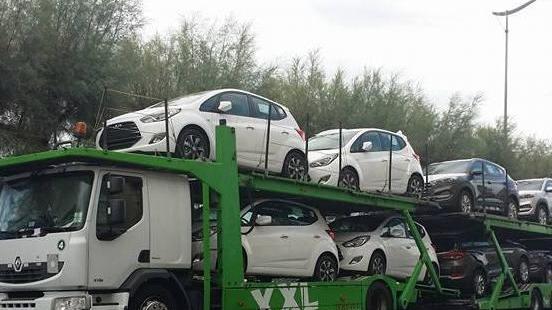 La segnalazione «Una bisarca sul viale Italia»