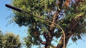 Niente illuminazione la via è Chiusa... colpa del degrado