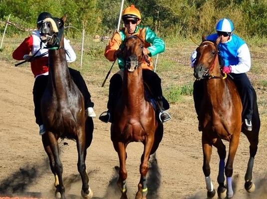 Cavalli in corsa per su Palu de sos vihinados 