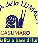 LA temuta 398/91