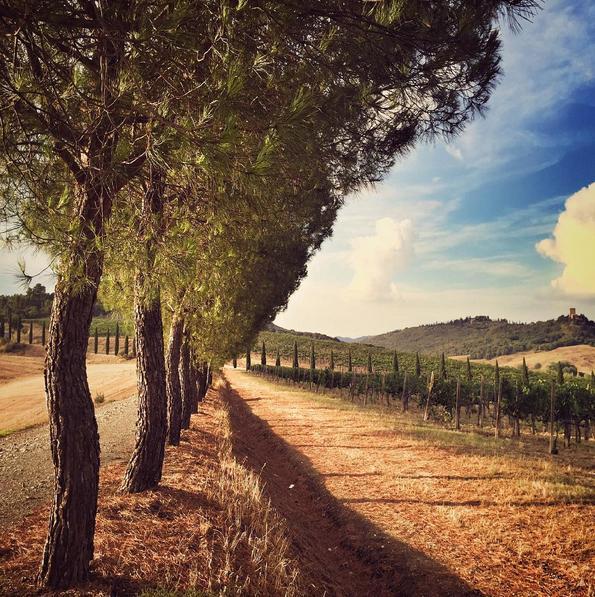 La foto di @piccinaccia, Elisa Orlando