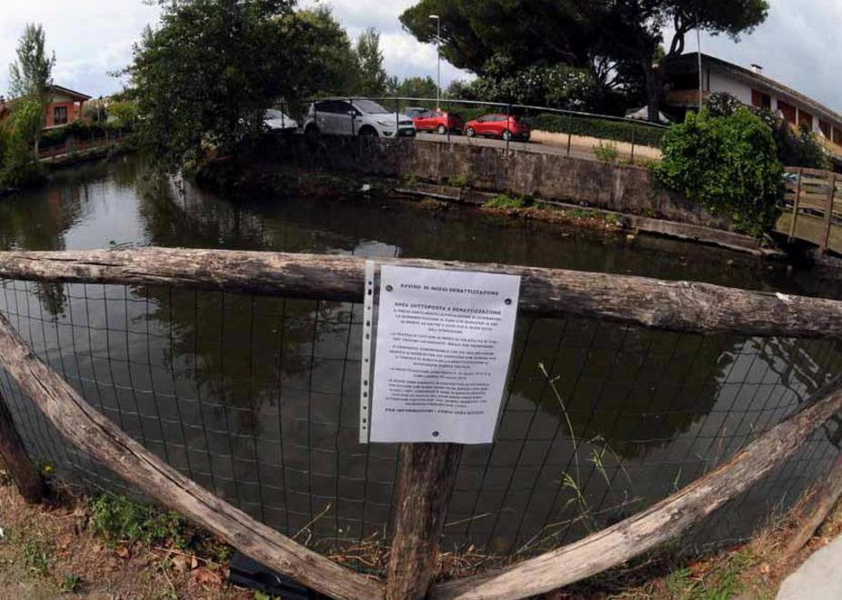 Morìa di uccelli, chiuso parte del fiume Carrione 