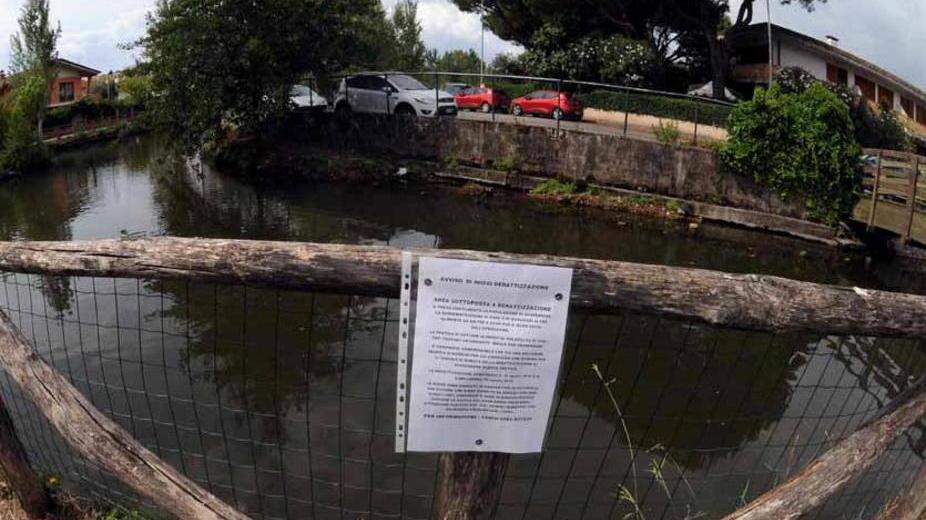 Morìa di uccelli, chiuso parte del fiume Carrione