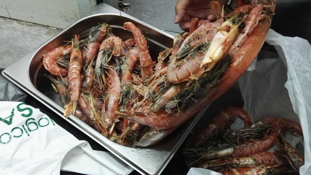I gamberoni sequestrati dalla Capitaneria