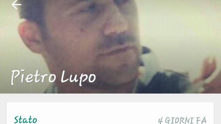 Truffe sui biglietti per il concerto di Ligabue al Campovolo