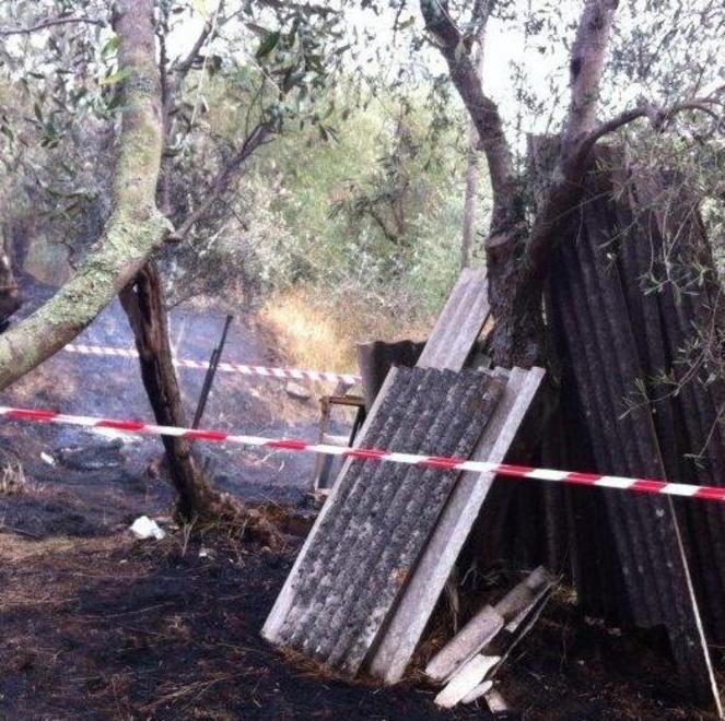 Bruciati una baracca e un’ottantina di ulivi tra le fiamme divampate in zona Collerosso 