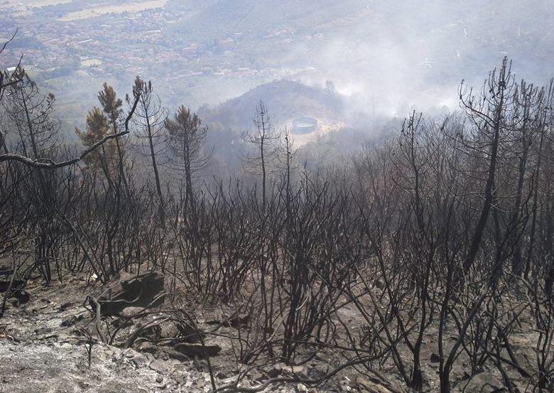 Barriere anti-frana dopo il rogo 