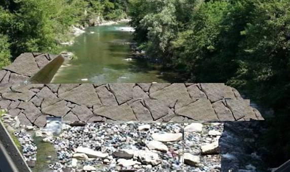Petizione, Palleggio non ci sta 