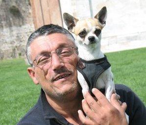 Ucciso chihuahua da un jack russel C’è una denuncia