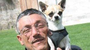 Ucciso chihuahua da un jack russel C’è una denuncia