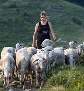 Quando l’impresa agricola è da Oscar 