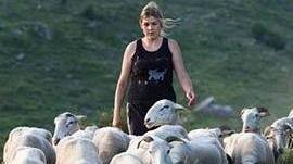 Quando l’impresa agricola è da Oscar