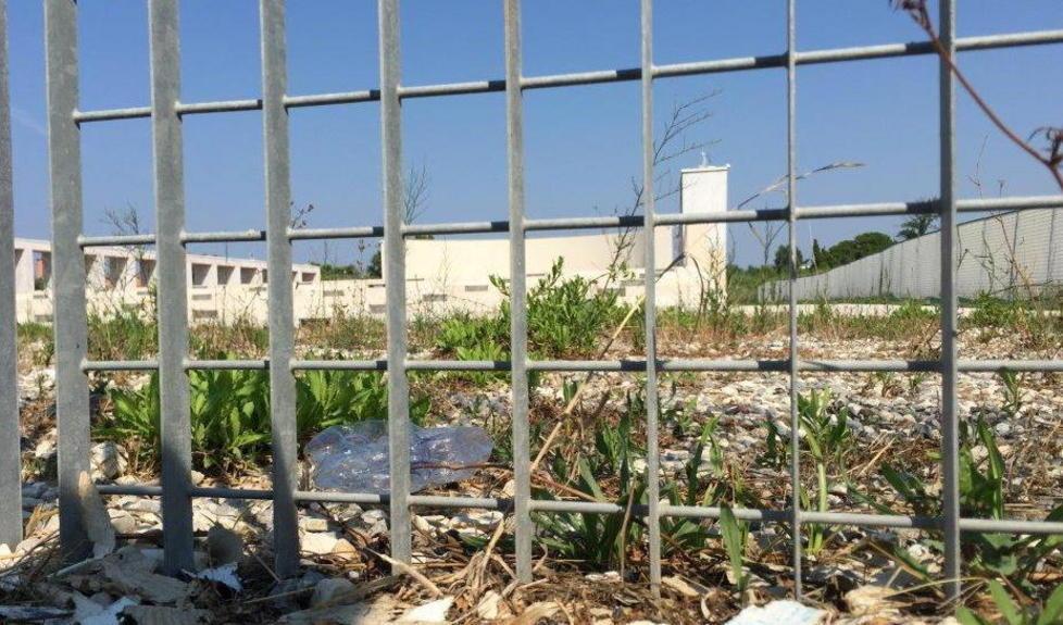 Disponibili alla gestione dell’area 