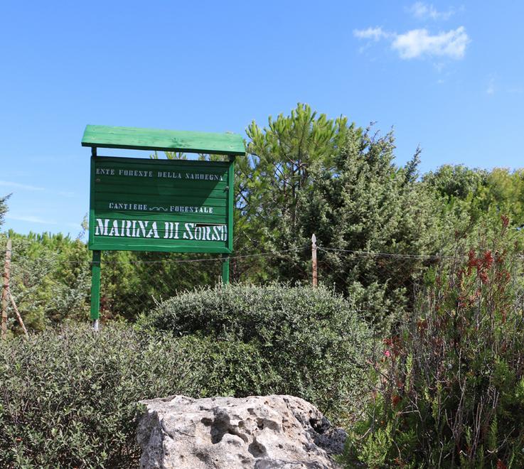 Platamona: in vendita sette ettari di pineta 