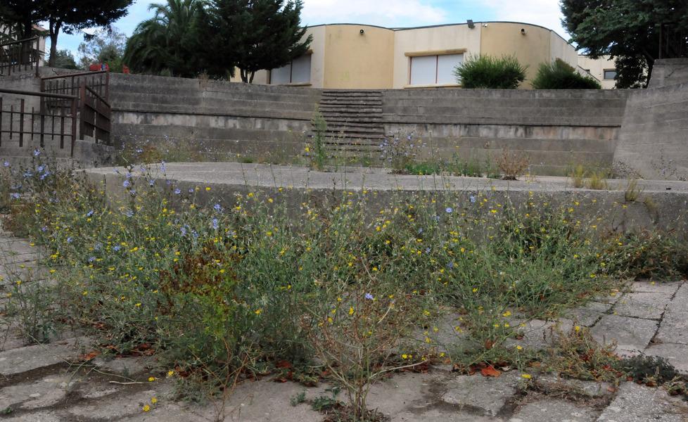 «Istituto fatiscente, nessuno interviene» 