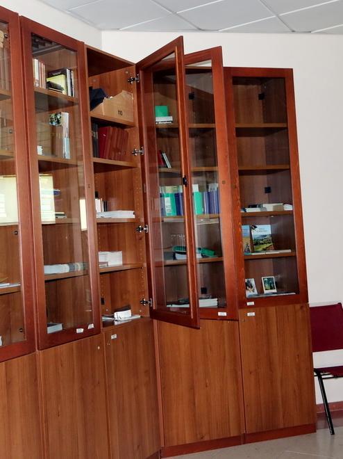 Ladri di notte rovistano la Sala dei Testimoni di Geova