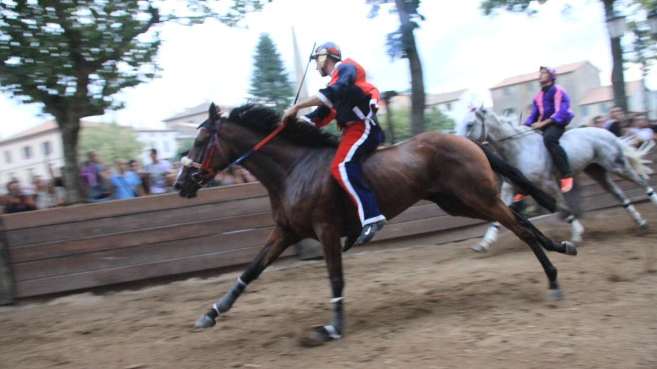 Cavallo lanciato al galoppo durante un palio a Castel del Piano