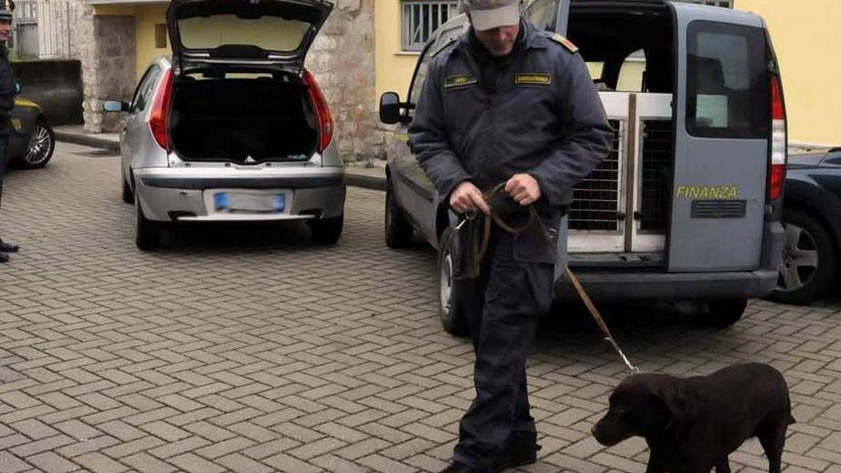 Cocaina al Beach Club condannati gli spacciatori