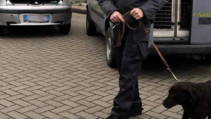 Ecstasy e cocaina al Beach club, condannati i due spacciatori