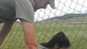 Catturato capriolo che vagava nell’area dell’aeroporto