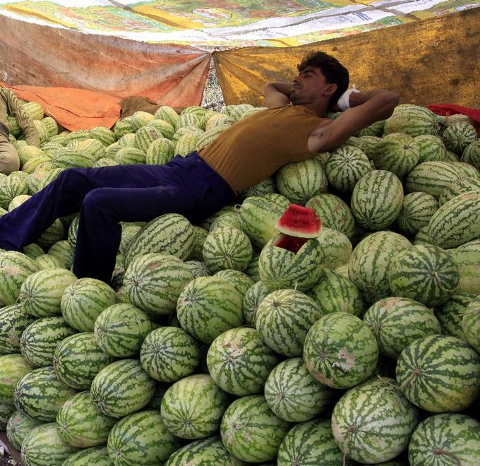 Una terra al sapore d’anguria è festa a San Martino Spino 